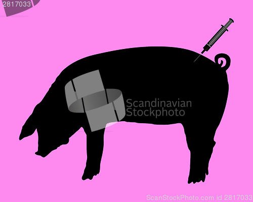 Image of Swine gets an inoculation because of swine flu