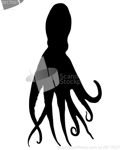 Image of Octopus Silhouette