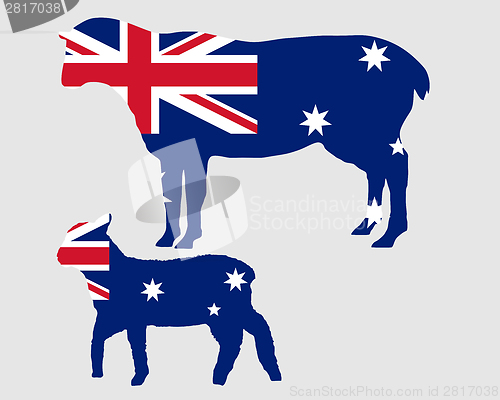 Image of Australian sheeps