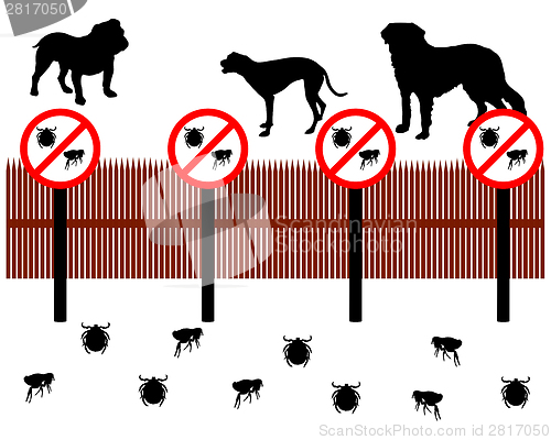 Image of Dogs behind a fence to protect against ticks and fleas