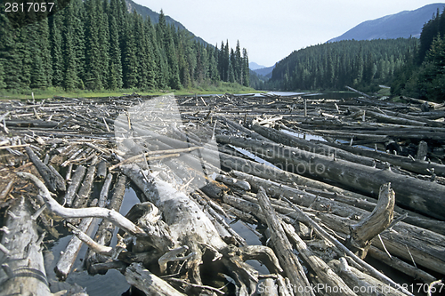 Image of Timber rafting