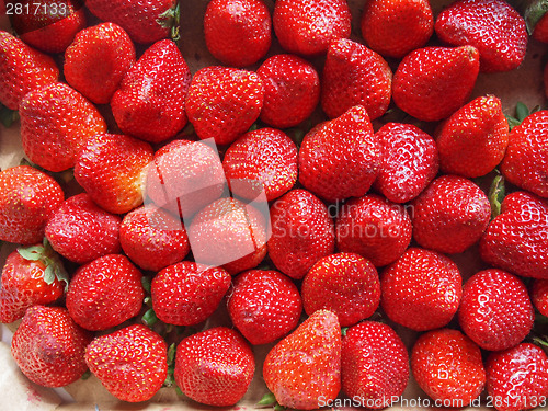 Image of Strawberries fruits