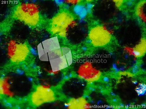 Image of Halftone micrograph