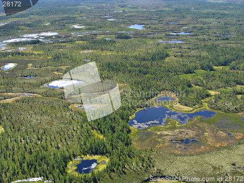 Image of Aerial view on forest-tundra landscape