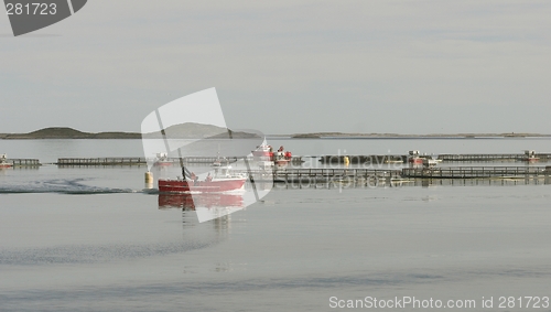 Image of Sea farm