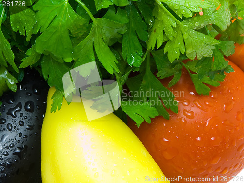 Image of Fresh vegetables