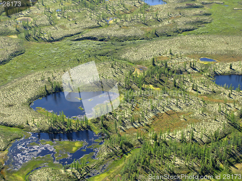 Image of Aerial view on forest-tundra landscape