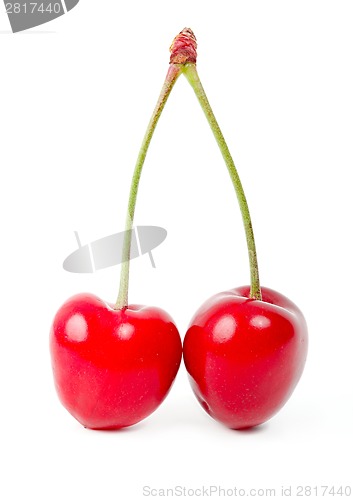 Image of Cherry