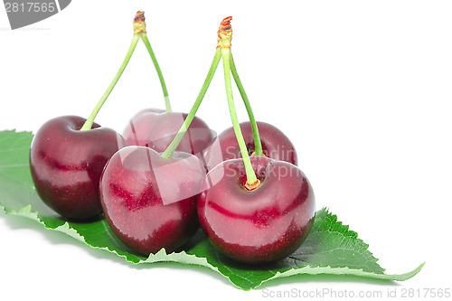 Image of Sweet juicy cherry tasty ripe berries big fruits