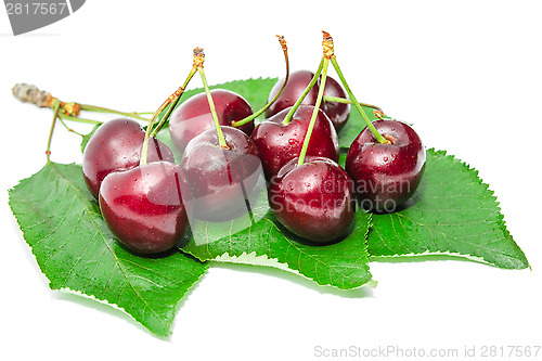 Image of Dark vinous ripe sweet cherry juicy tasty berry