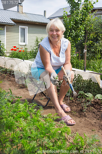 Image of Elderly woman removes the weeds in the garden