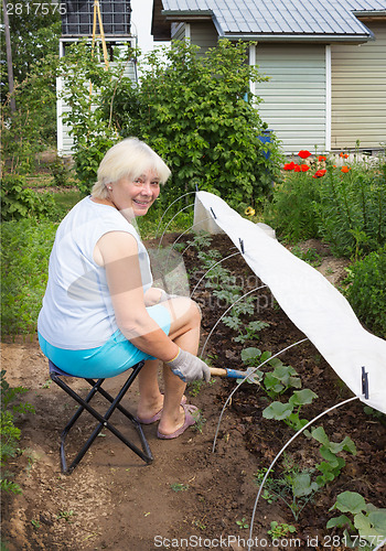 Image of Mature woman working in her garden