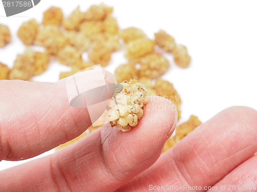 Image of Dried mulberry