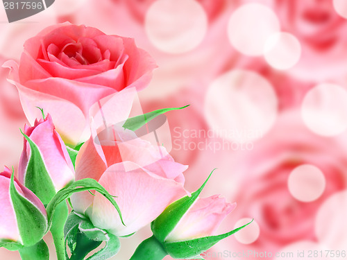 Image of Bouquet pink roses