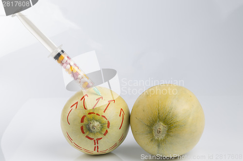 Image of Melons and syringe with pills