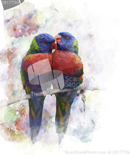 Image of Watercolor Image Of  Parrots