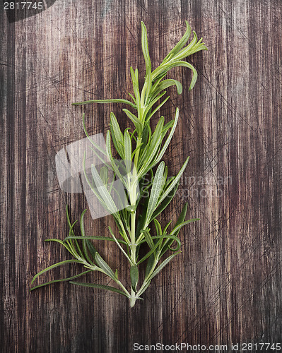 Image of Branch Of Rosemary