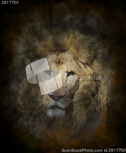 Image of Watercolor Image Of Lion