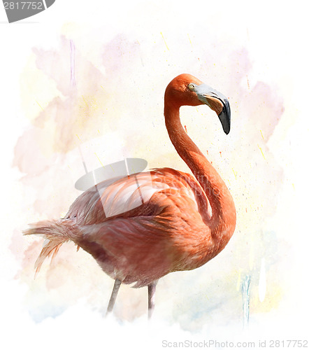 Image of Flamingo - Watercolor Illustration 