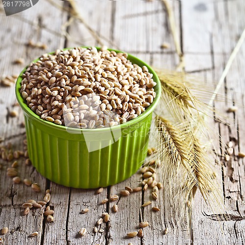 Image of wheat grain in bowl and ears 