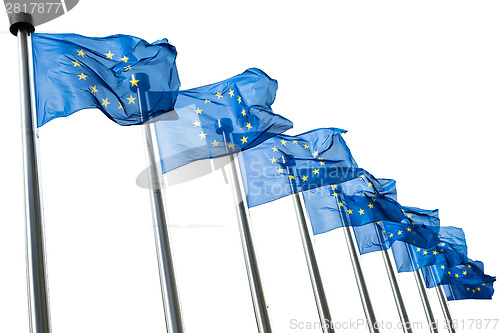 Image of European Union flags isolated on white