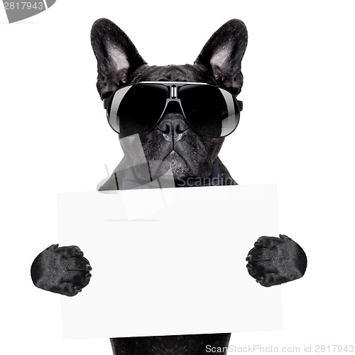 Image of placard dog