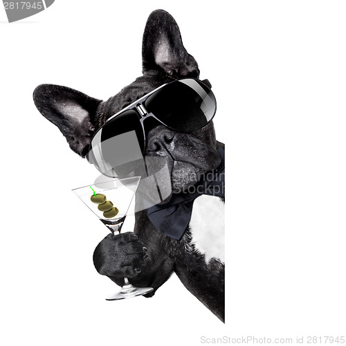 Image of martini dog