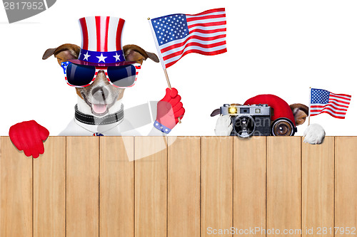 Image of american dogs