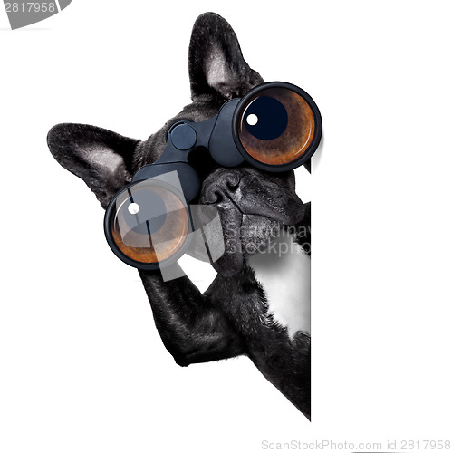 Image of dog looking through binoculars 