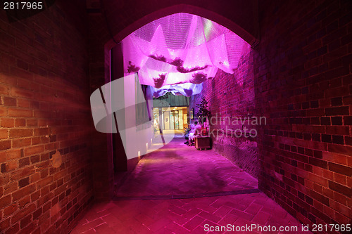 Image of Heavens Cloth in an alleyway during Vivid Sydney