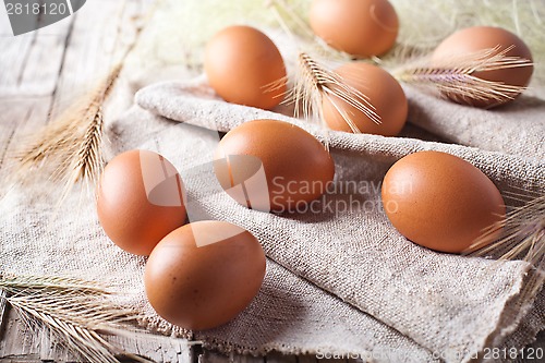 Image of  fresh brown eggs and wheat ears 