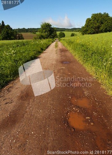 Image of Spring landscape