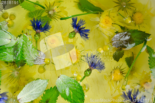 Image of background of picked cornflower mint leaf in water 