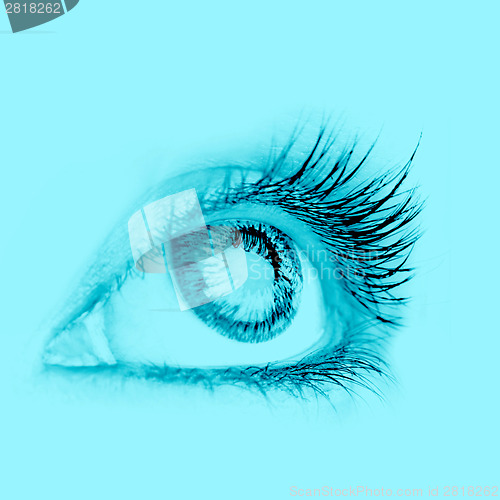 Image of Great big eye.