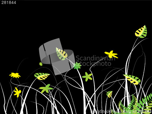 Image of isolated floral bg