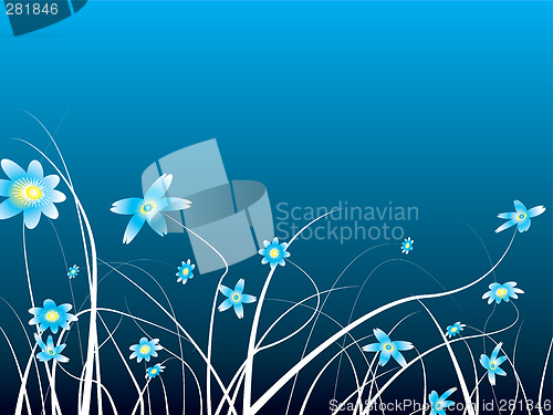 Image of winter flower
