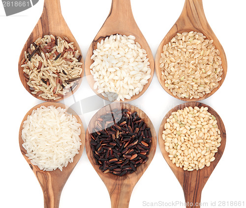 Image of Rice Varieties
