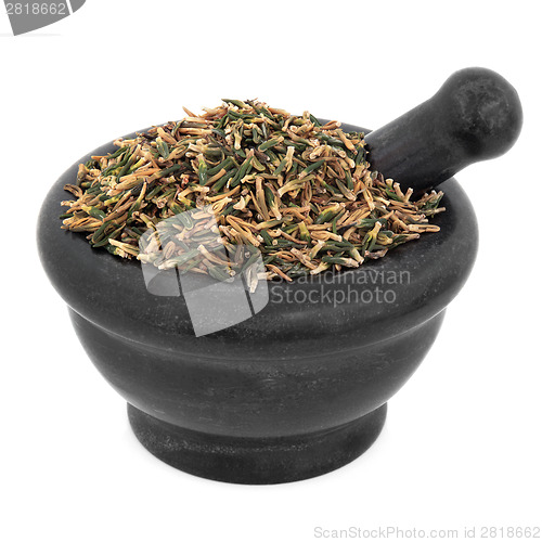 Image of Lotus Flower Plumule
