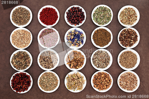 Image of Natural Herbal Medicine