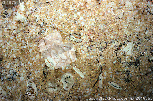 Image of marble background