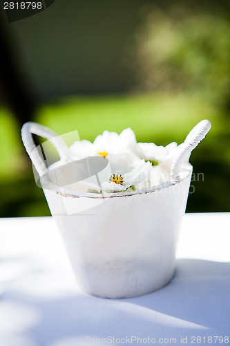 Image of White daisy flowers in bucket