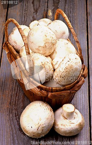 Image of Raw Champignons