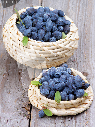 Image of Honeysuckle Berries