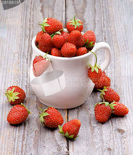 Image of Forest Strawberries