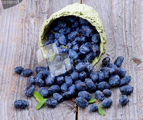 Image of Honeysuckle Berries