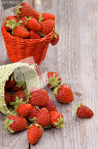 Image of Forest Strawberries