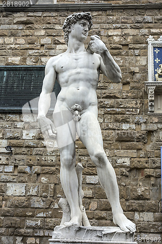 Image of David (Michelangelo) 