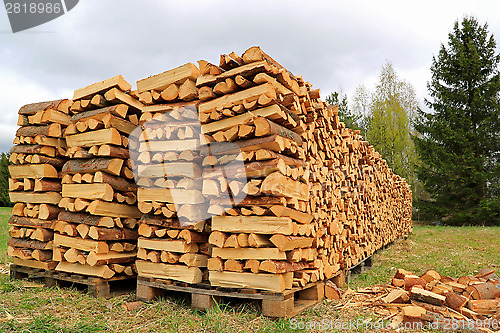 Image of Chopped and Stacked Firewood on a Field