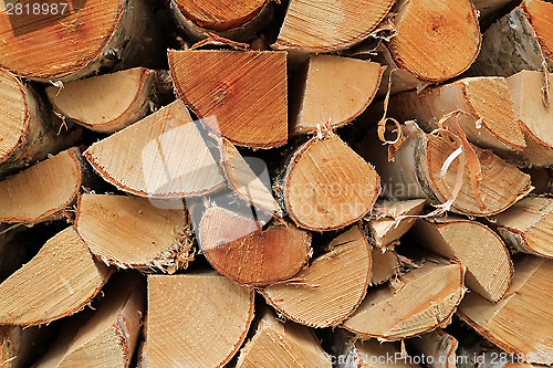 Image of Chopped Birch Logs for Firewood