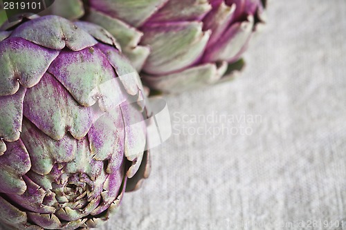 Image of two fresh artichokes 